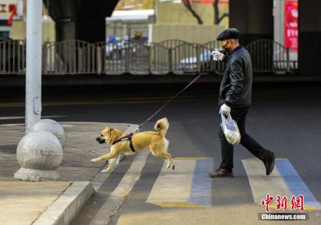 狂犬疫苗多少钱一针