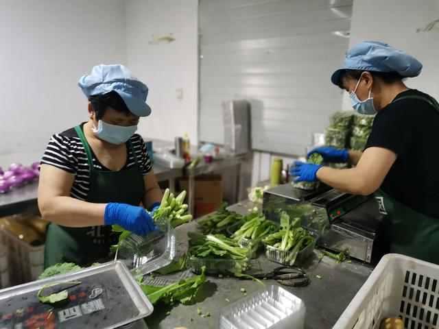 有机蔬菜批发京郊蔬菜基地尽责市民菜篮子部北京蔬菜补贴价格表