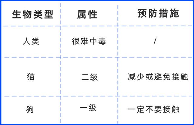 家中常见的 6 种宠物毒药：蚊香、洋葱、木糖醇和……6