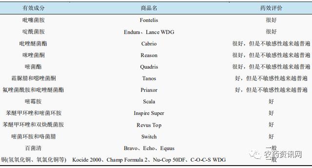 代森锰锌禁用风险不断增加 如何寻找和选择替代品？13