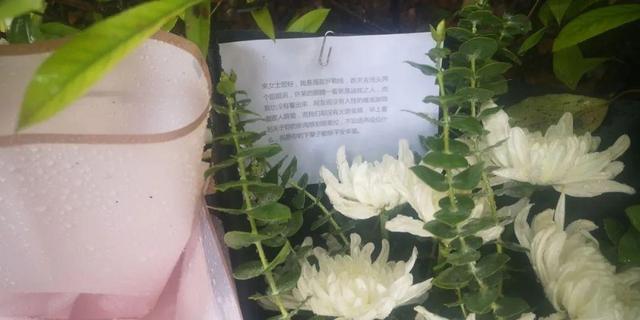 杭州杀妻碎尸案凶手二审维持死刑