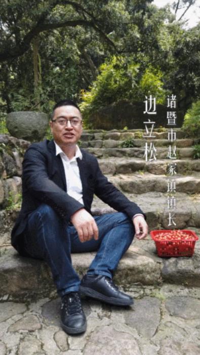 大华雪亮工程成就展