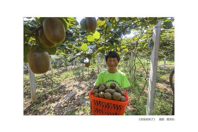 脱贫工程成果展