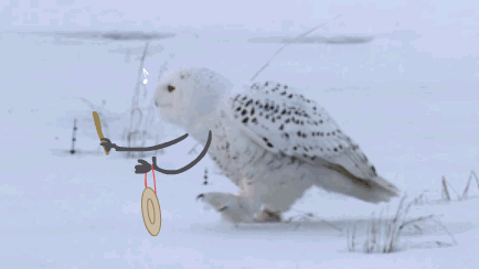 2020南京塑料机械展