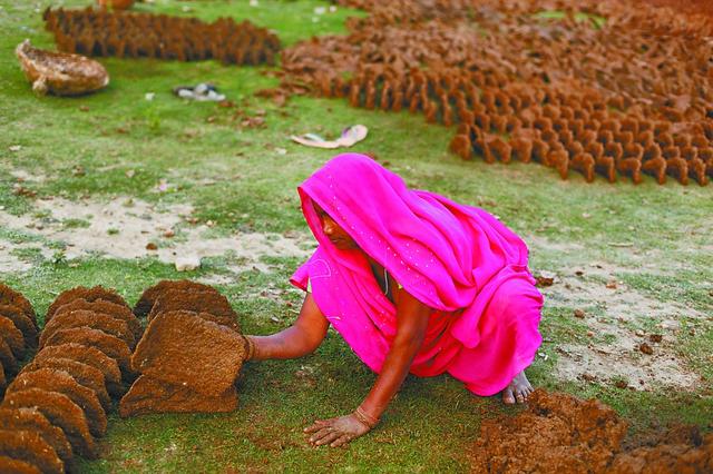 印度上千村民互扔牛粪送祝福牛粪印度人的灵魂伴侣