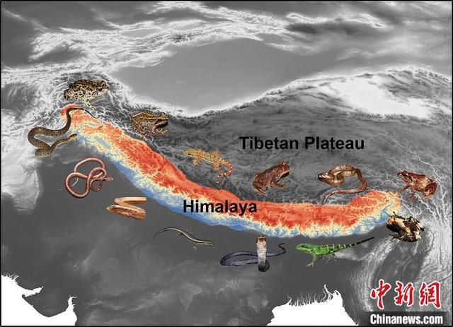 科学研究揭示，喜马拉雅山脉确为“渐进隆升”