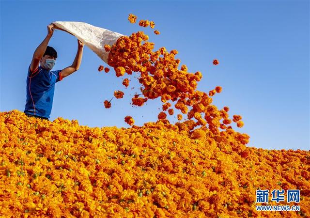 巴彦淖尔沙场洗砂机报价
