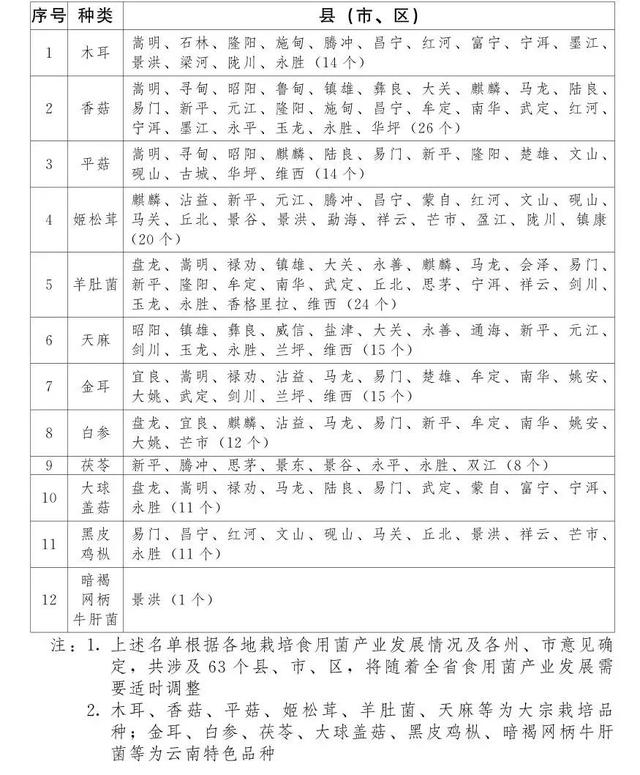 普洱复合型圆锥破碎机