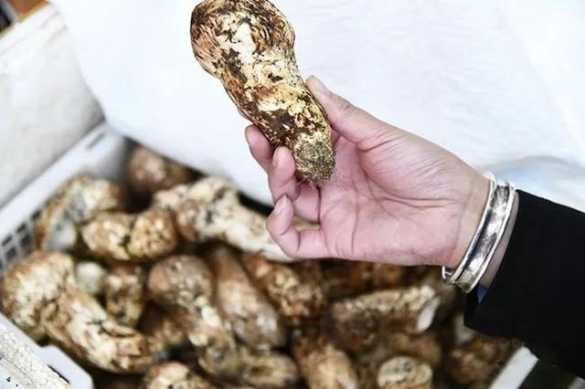普洱复合型圆锥破碎机