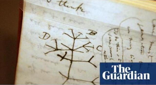 达尔文笔记或失窃，价值数百万英镑，内含“生命之树”草图