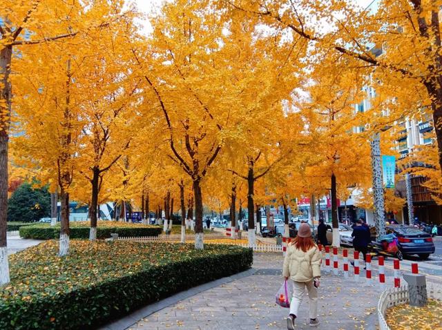 湖州职业技术学院