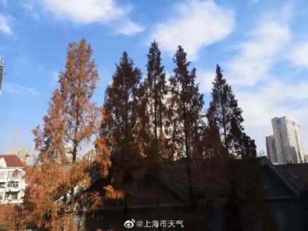 影片剧照