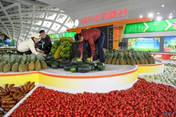 芭芭乐