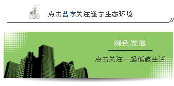 水泥厂污染