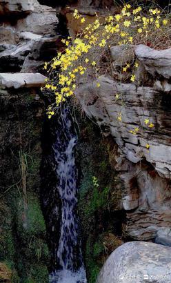泉水淙淙，趵突腾空为济南八景之一,泉水日夜喷涌？