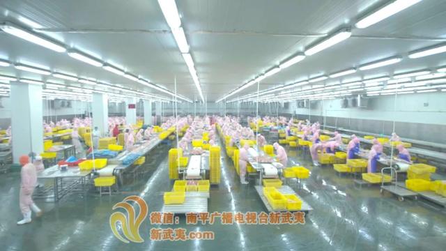福建圣农集团