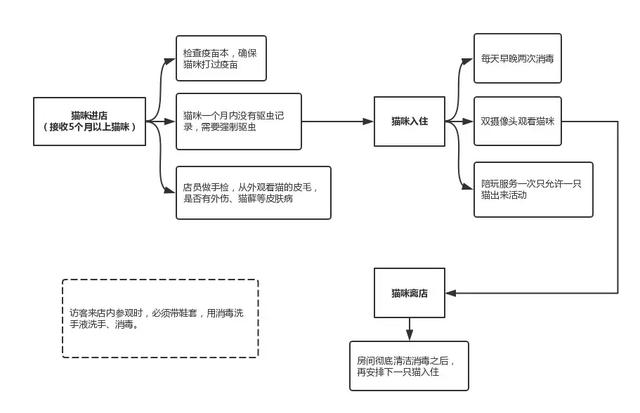 寄养