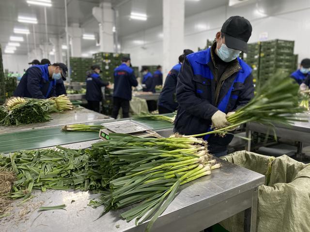 物美超市官网