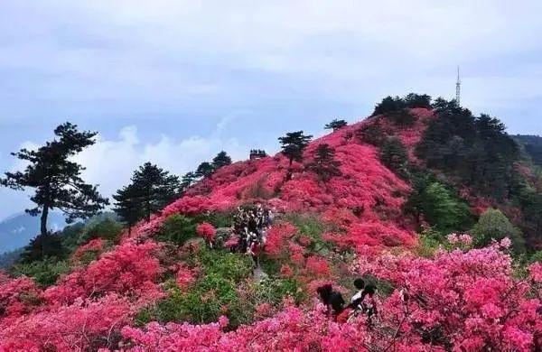 武穴智能机械展