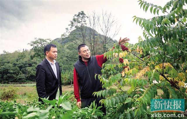 杨升华以诚待人以情招商的保姆式副县镇雄十大有钱人