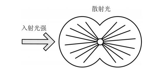 nm代表是什么意思