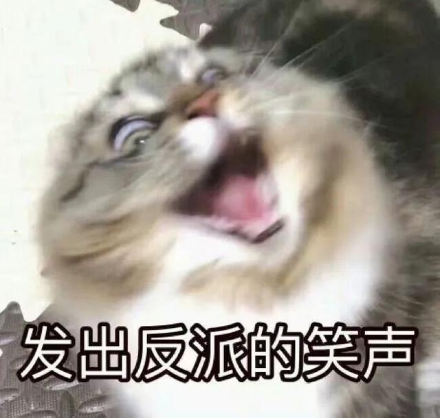 影片剧照