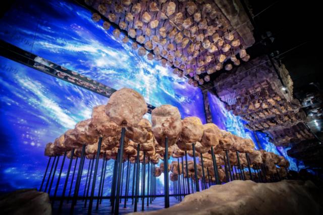 深圳今年的机械展