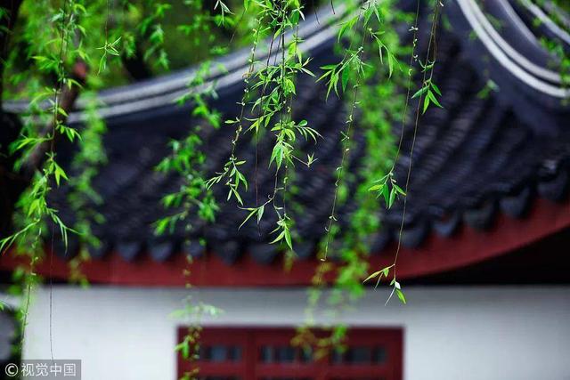 望晴!24小时收微信