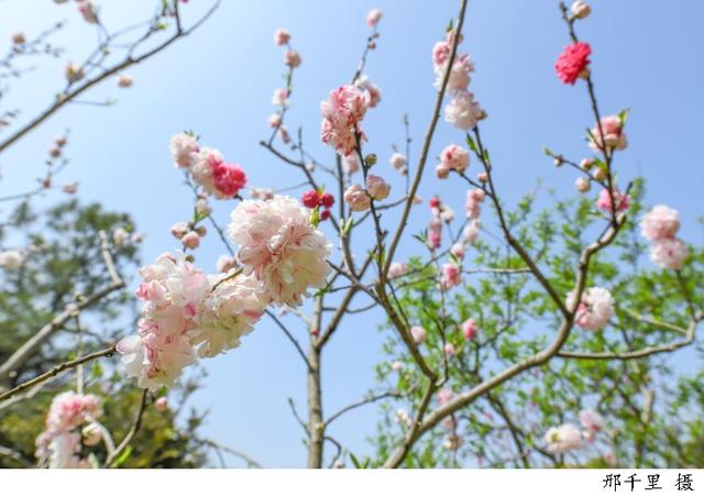 上巳节是什么意思