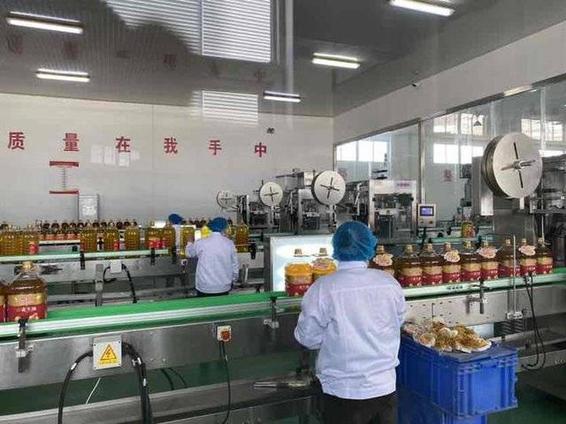 花生油过滤机哪种好