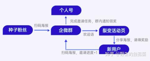 在线教育获客新途径:微信裂变成长企业运营指南