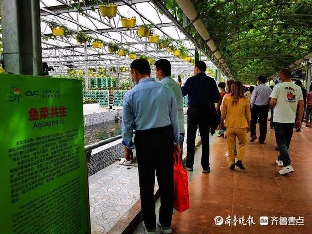 关于潍坊滚筒螺旋洗砂机价格的信息