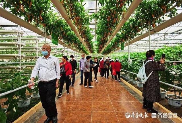 潍坊滚筒螺旋洗砂机价格