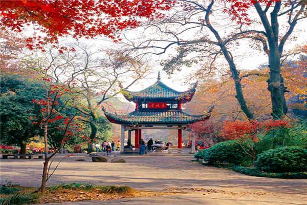 李隆郅:风浴、雨浴、自然浴……毛泽东为何有“麓山情怀”？