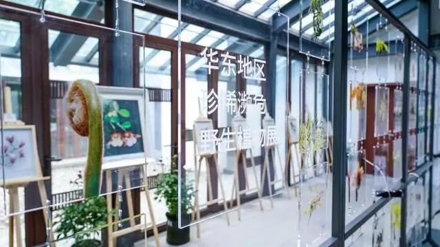 酒店工程展康乃馨展厅制作