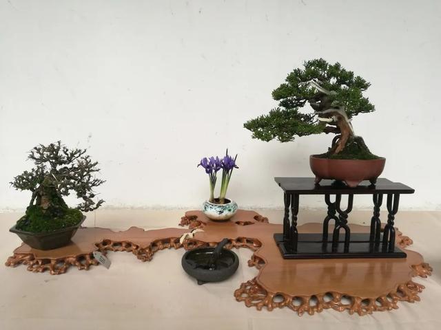 酒店工程展康乃馨展厅制作