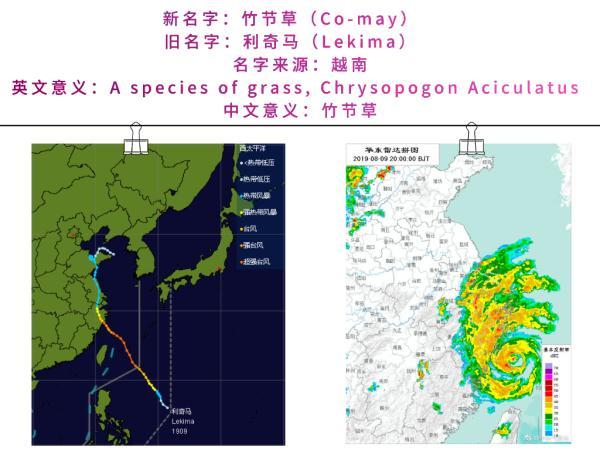 台风的名字