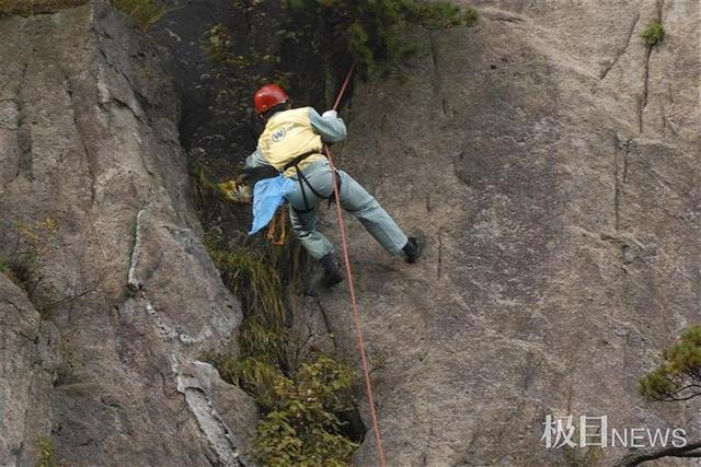 假期黄山旅游复苏强劲，人人都来打卡迎客松，千年古树从国宝变国潮