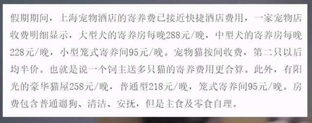 上海宠物用品