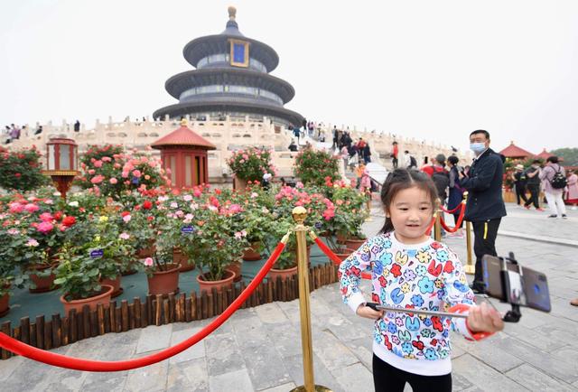 北京的市花是什么