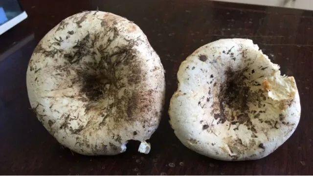 湘潭洗砂脱水一体机