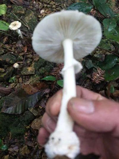 湘潭洗砂脱水一体机