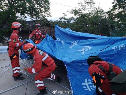 青海病死牛破碎机
