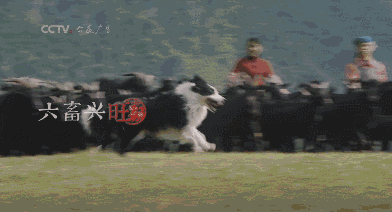 喀什四联洗砂机