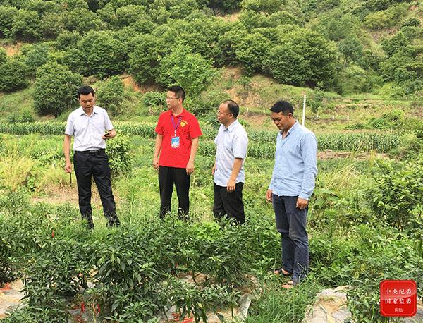 广西不锈钢过滤机回收_真空实验室捏合机价格