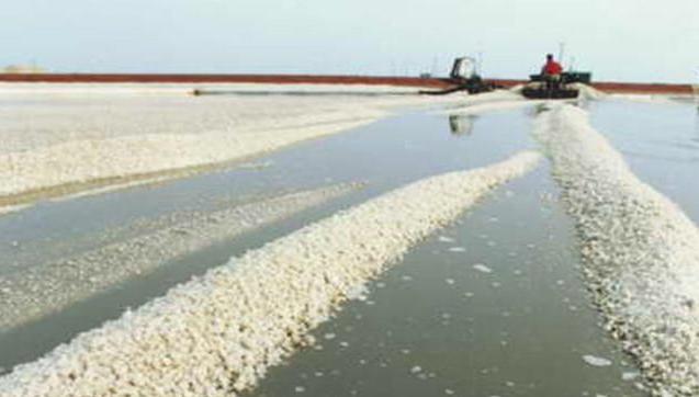 这种家家必备的调味料，伴随三餐，亦是良药