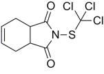 克菌丹的春天悄然而至，或可重新定义保护性杀菌剂市场1