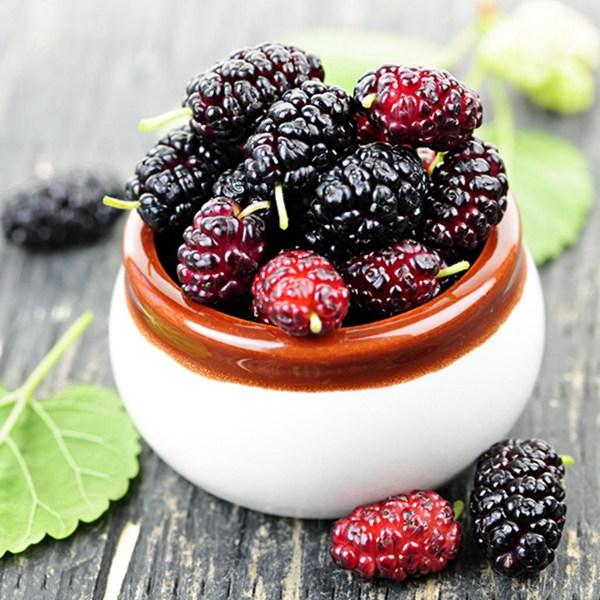 桑椹是什么水果（桑椹的功效与禁忌）