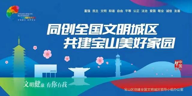 宝山邮轮产业核心区规划