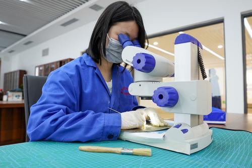 云阳三峡文物园二期柄展工程